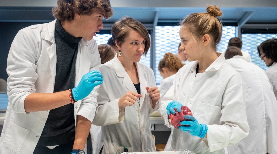 Photo d'élèves du lycée en train de faire une dissection dans un laboratoire de l'École Jeannine Manuel à Paris
