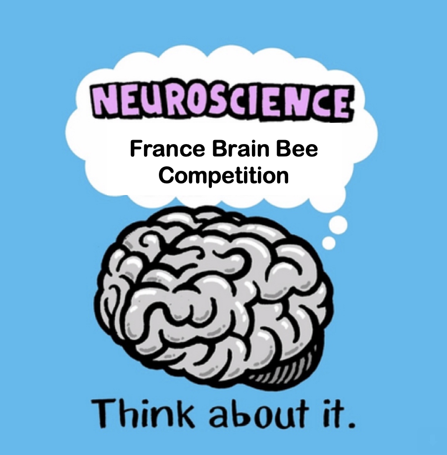 Photo de couverture pour le concours du Brainbee